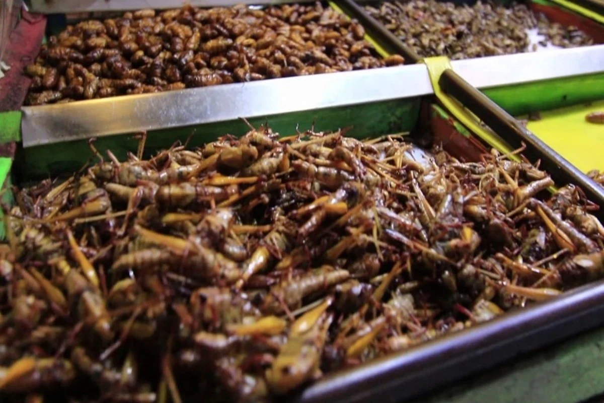 Platos Exóticos de la Cocina China: Explora una Aventura Culinaria